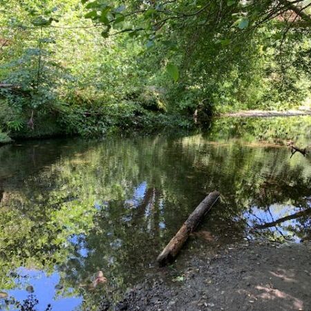 River Cleanup @ Felton Covered Bridge Park - logo